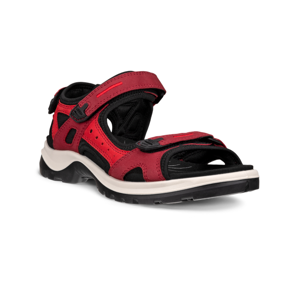 Ecco Offroad Yacatan